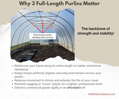 Greenhouse with 3 full-length purlins labeled, highlighting their importance for strength and stability.